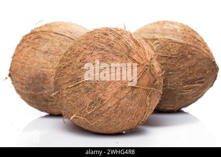 Noix de coco aux fruits tropicaux frais sur fond blanc Banque D'Images