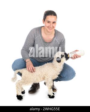 Agneau Valais blacknose et femme paysanne en face de fond blanc Banque D'Images