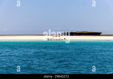 Wasini Island et Parc national marin de Kisite-Mpunguti, Kenta, Afrique Banque D'Images