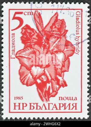 Timbre-poste oblitéré imprimé par la Bulgarie, qui montre Gladiolus hybride, Garden Flowers, vers 1985. Banque D'Images