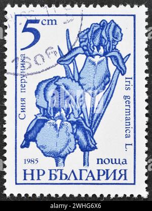 Timbre-poste oblitéré imprimé par la Bulgarie, qui montre Iris germanica, fleurs du jardin, vers 1985. Banque D'Images