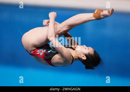 Doha, Qatar. 9 février 2024. Yani Chang (CHN) plongée : Championnats du monde de natation Doha 2024 finale de tremplin féminin de 3m au Hamad Aquatic Centre à Doha, Qatar . Crédit : Naoki Morita/AFLO SPORT/Alamy Live News Banque D'Images