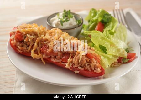 Délicieux poivron pointu cuit au four avec riz, tomates, thon et fromage sur une assiette blanche avec trempette et salade de laitue, Banque D'Images