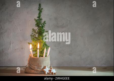 Couronne alternative deuxième Avent, deux bougies allumées avec une flamme sur une petite plante de conifère comme symbole d'arbre de Noël, grand spac copie Banque D'Images