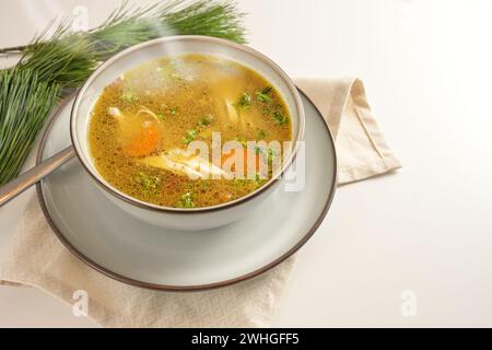 Soupe chaude d'hiver à la vapeur de poulet, légumes et persil dans un bol, remède maison contre le rhume et la grippe, servi sur un blanc gay Banque D'Images
