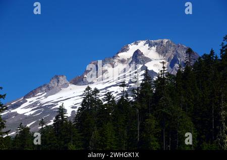 Panorama du Mont Hood, volcan dans la chaîne des Cascades, Oregon Banque D'Images