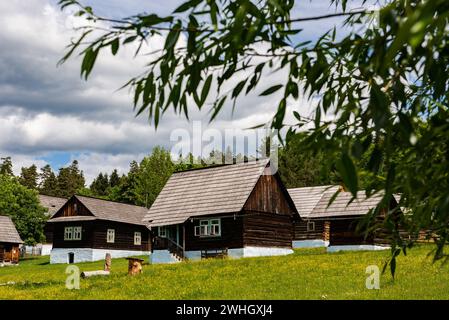 Skansen avec des maisons de village en bois près du château de Sara Lubovna en Slovaquie en été Banque D'Images