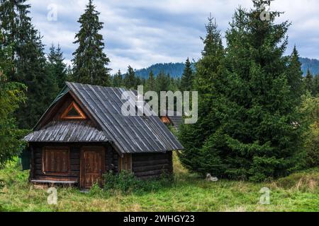 Cabane de berger traditionnelle en bois dans les montagnes de Carpatian, Pologne Banque D'Images