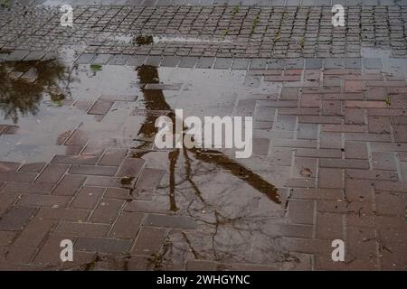 Arbres reflétés dans une flaque d'eau de pluie sur un trottoir pavé un jour d'hiver. Banque D'Images