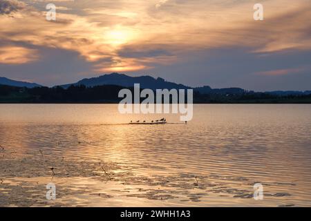 Coucher de soleil au lac Hopfensea Banque D'Images