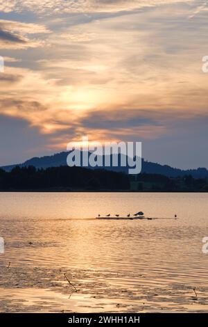 Coucher de soleil au lac Hopfensea Banque D'Images