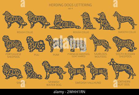 Chien élève des silhouettes avec lettrage, clipart de style simple. Chiens de troupeau, chien de berger, collection de bergers. Illustration vectorielle Illustration de Vecteur