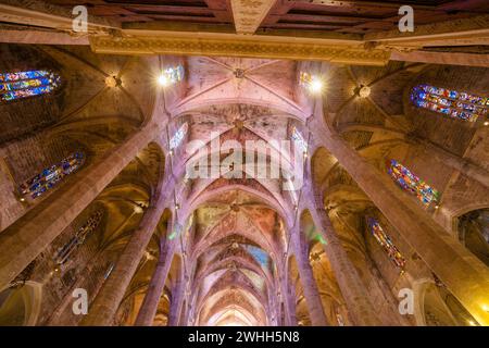 Cathédrale de Majorque Banque D'Images