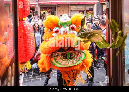 Londres, Royaume-Uni. 10 février 2024. Le lion, ayant pris le chou, le jette dans le magasin. Les magasins et les restaurants chinois accrochent le chou, ce qui représente la prospérité, comme une offrande au lion, qui mange le chou et danse, nous espérons apporter chance et prospérité à l'entreprise. Une danse du lion fait partie des célébrations du nouvel an chinois dans Chinatown et Soho à Londres. Les célébrations se poursuivront le samedi et le dimanche avec des spectacles traditionnels, un défilé (le dimanche) et des décorations colorées. 2024 est l'année du Dragon dans le calendrier chinois. Crédit : Imageplotter/Alamy Live News Banque D'Images