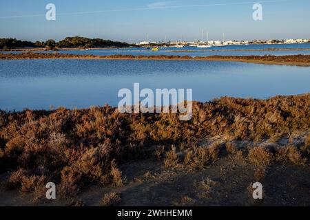 Domaine public CAN Marroig Banque D'Images