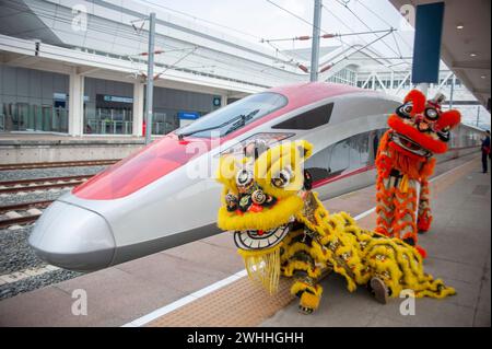 Padalarang, Indonésie. 10 février 2024. Des artistes de danse du lion posent pour des photos avec un train électrique à grande vitesse à unités multiples (EMU) sur le quai de la gare de Padalarang du train à grande vitesse Jakarta-Bandung à Padalarang, Indonésie, le 10 février 2024. En Indonésie, qui embrasse le multiculturalisme, le Festival du printemps transcende les frontières culturelles, devenant un festival célébré par toute la société. Crédit : Septianjar Muharam/Xinhua/Alamy Live News Banque D'Images