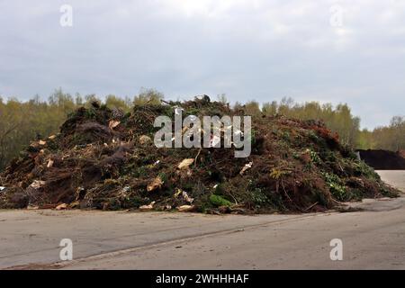 Centre de gestion des déchets du district d'Euskirchen - piles de déchets verts grossiers transportés vers la déchiqueteuse par chargeuse sur pneus Banque D'Images