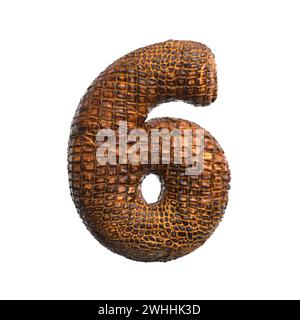 Numéro de crocodile 6 - chiffre de reptile 3d - convient à la faune, l'écologie ou les sujets liés à la conservation Banque D'Images