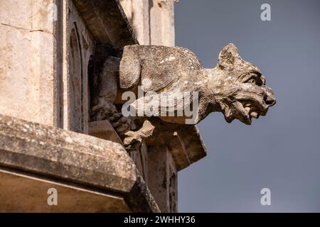 Gargouille dans le panthéon de la famille Garau. Cimetière Santa Margalida Banque D'Images