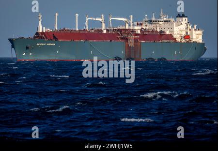 PRODUCTION - 01 février 2024, Mecklembourg-Poméranie occidentale, Sassnitz : le méthanier de 280 mètres de long 'Seapeak Hispania' est amarré dans la mer Baltique au large de l'île de Rügen. Le navire spécial est utilisé pour transférer les livraisons de gaz liquéfié des grands aux petits pétroliers et les transporter plus tard au port de Lubmin. Photo : Jens Büttner/dpa Banque D'Images