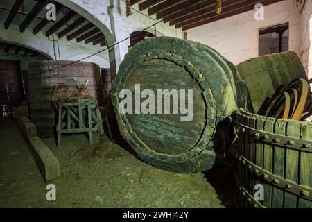 Caves originales de Palo Ripoll Banque D'Images