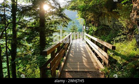 Sentier du pipeline de saumure près de Ramsau dans le parc national de Berchtesgaden Banque D'Images