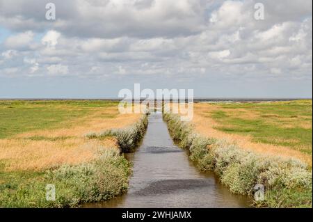 À la marée Banque D'Images