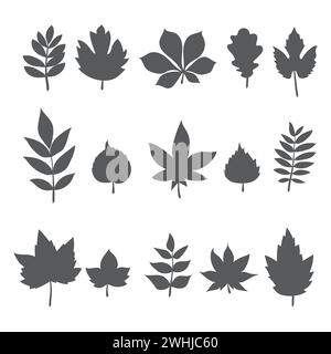 Silhouettes de feuilles d'arbres. Collection de feuilles d'automne. Illustration vectorielle Illustration de Vecteur