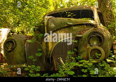 Vieille voiture abanodée dans une forêt Banque D'Images