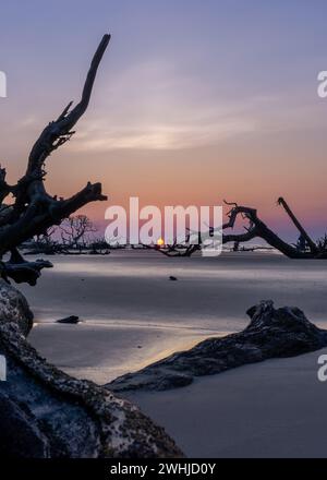 Lever de soleil avec soleil bas sur l'horizon sur une plage avec des arbres morts et du bois flotté Banque D'Images