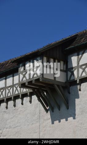 Château historique Wartburg près de la ville Eisenach, Thuringe Banque D'Images