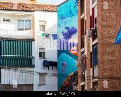 Fuengirola, Malaga, Espagne. 02/06/2024. Peintures murales graffiti de différents styles sur les façades du quartier populaire d'El Botequillo. Banque D'Images