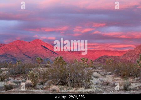 Tempête d'hiver dans les montagnes Hualapai, comté de Mohave, Arizona Banque D'Images