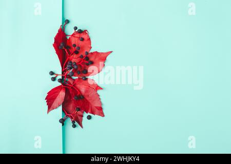 Disposition créative faite de feuilles rouges et de baies bleues sur fond aigue-marine Banque D'Images