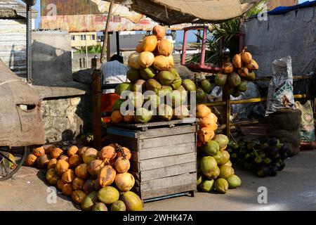 Noix de coco à boire, étal, Kanyakumari ou Kanniyakumari, village le plus méridional de l'Inde, Cap Comorin, Tamil Nadu, Inde du Sud, Inde Banque D'Images