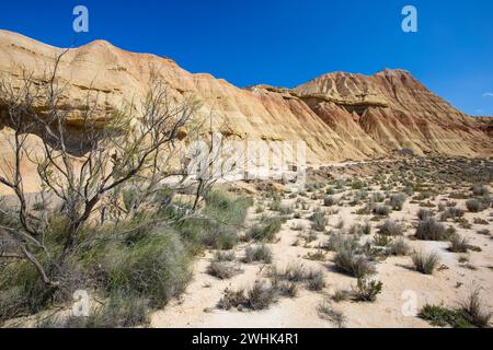 Bardenas Reales, Espagne Banque D'Images