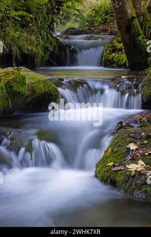 Ruisseau près de la cascade Urach, Bad Urach Banque D'Images