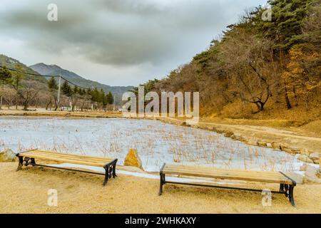 Deux bancs de parc à côté de l'homme gelé a fait étang au bord de la forêt luxuriante avec des montagnes et ciel nuageux en arrière-plan Banque D'Images