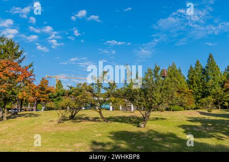 Paysage de beau parc comme le cadre sous le ciel bleu avec la canne de construction sur la cime des arbres en arrière-plan en Corée du Sud Banque D'Images