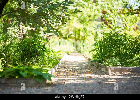 Chemin de gravier dans le jardin le jour d'été. Banque D'Images