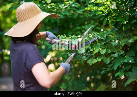 Jardinière femelle taillant les plantes à l'aide de ciseaux à haies professionnels Banque D'Images