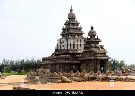 Temple côtier de Mahabalipuram, Mamallapuram, Mahabalipuram, Tamil Nadu, Inde Banque D'Images
