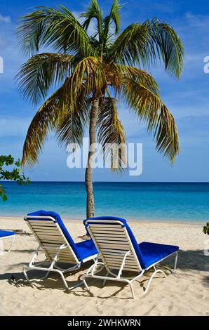 Petites Antilles, Îles sous le vent, Caraïbes Banque D'Images