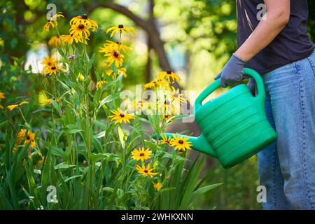 Jardinage féminin. Fleurs d'arrosage femelle dans son arrière-cour le jour d'été. Banque D'Images