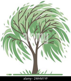 Illustration de conception plate d'un saule avec des feuilles balayées par le vent, isolé sur un fond blanc. Illustration de Vecteur