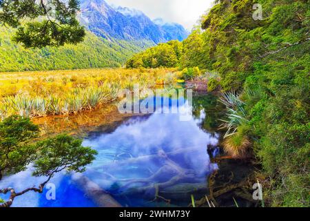 Lac isolé et pittoresque Blue Mirror dans la vallée d'Eglinton dans le fiordland de Nouvelle-Zélande. Banque D'Images