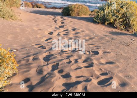 Empreintes sur les dunes de sable de la plage de la Tejita. Banque D'Images