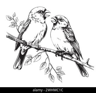 Croquis noir et blanc d'un oiseau canari chantant sur une branche illustration vectorielle Illustration de Vecteur