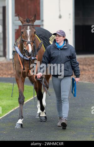 Deuxième course à Wincanton le 2 mars 2022 couru sur des clôtures Banque D'Images