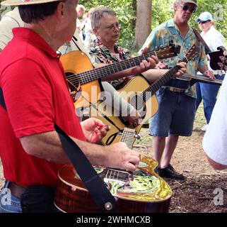 Les musiciens s'affrontent en groupes fluides sous les arbres au pique-nique Old Fiddlers Banque D'Images